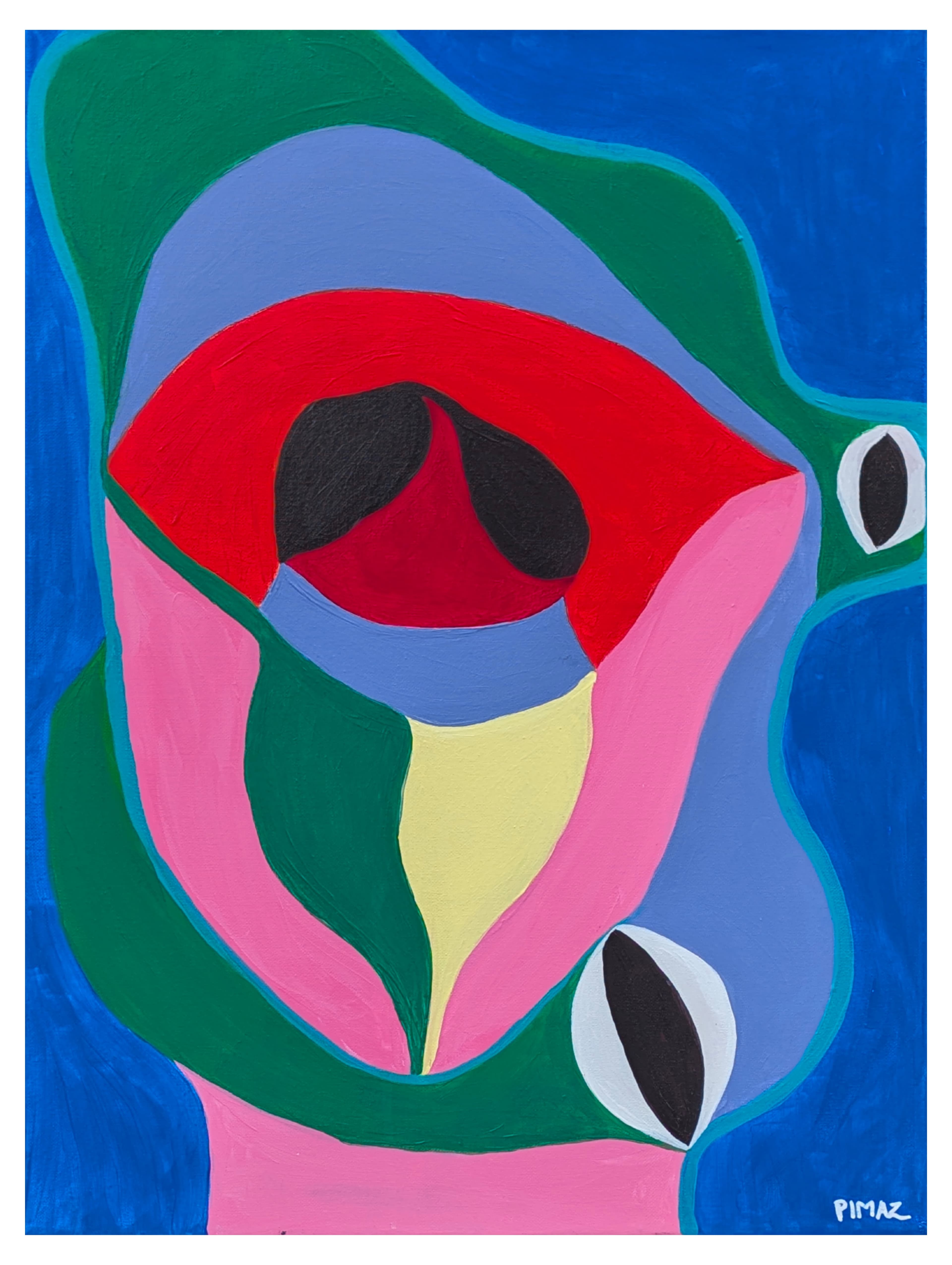 Pimaz Art